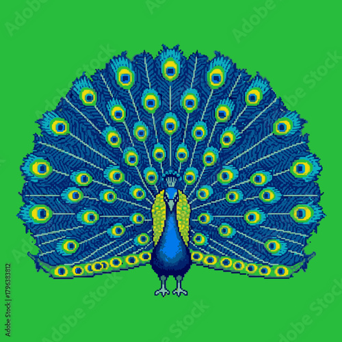 A vibrant blue peacock with its magnificent tail fanned out in full display, featuring intricate eye-spot patterns against a solid green background.