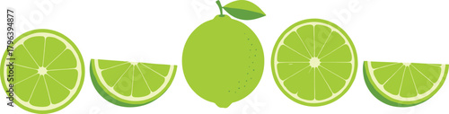 Lime and slices vector illustration, tropical fruit icon, green citrus design, fresh food graphic, summer nutrition symbol, vibrant layout