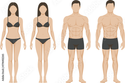 Fitness body silhouettes showing male and female muscular and slim physique variations in underwear, illustrating anatomy proportions and healthy lifestyle concepts for vector design