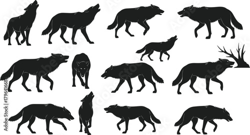 Wolf silhouettes, wild animal vector, howling wolf, walking wolf, running wolf, forest wildlife, black silhouette, wolf pose, animal motion,