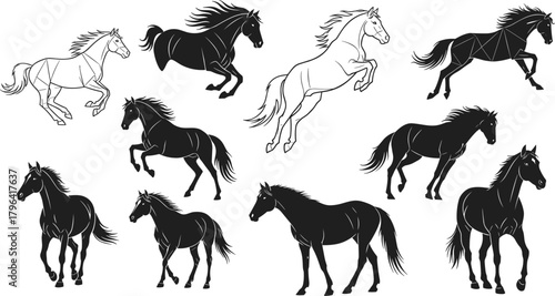Photos Horse silhouettes, animal motion, galloping horse, rearing horse, walking horse,