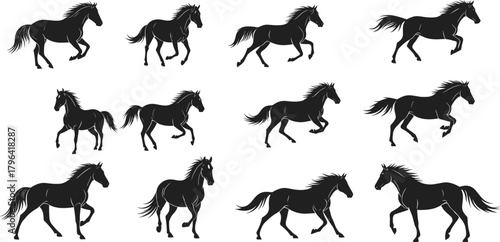 Horse silhouette vector, equine motion clipart, black running icon, trotting and galloping pose, animal anatomy graphic, nature design