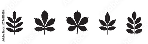 set of autumn leaves silhouette vector