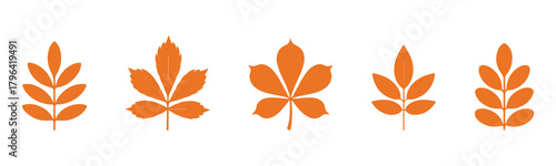 set of autumn leaves silhouette vector