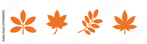 Set of black silhouette maple and linden leaves vector illustration for nature design elements
