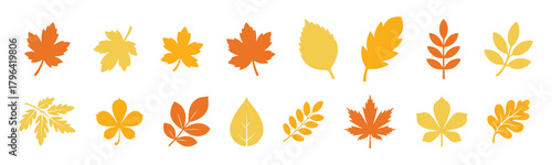 Set of autumn leaves and branches from different trees, maple, oak, aspen, chestnut. Simple flat falling yellow, red, orange autumn leaf. Vector illustration on white background 