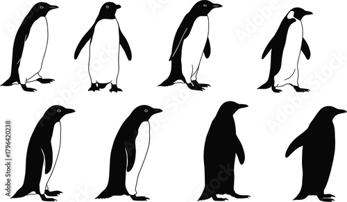 Penguin silhouette vector, walking penguin clipart, black bird icon, Antarctic animal illustration, wildlife pose graphic, cold climate design
