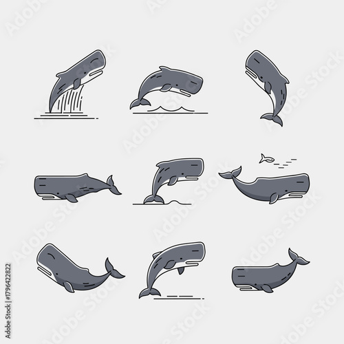 A collection of nine sperm whale illustrations in a modern line art style, depicted in various dynamic poses.