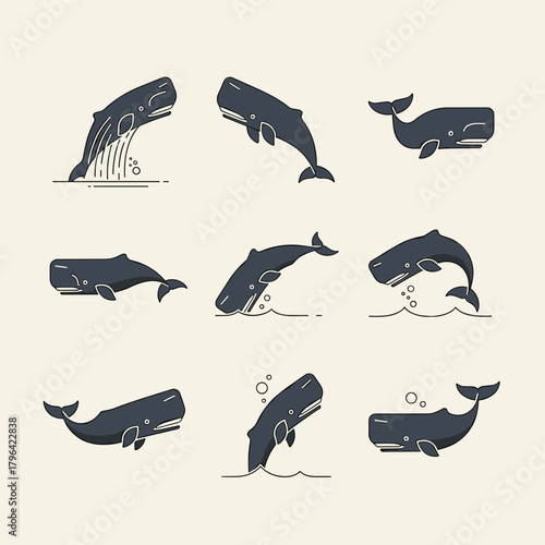 A collection of nine stylized whale illustrations showing various poses like breaching, swimming, and diving.