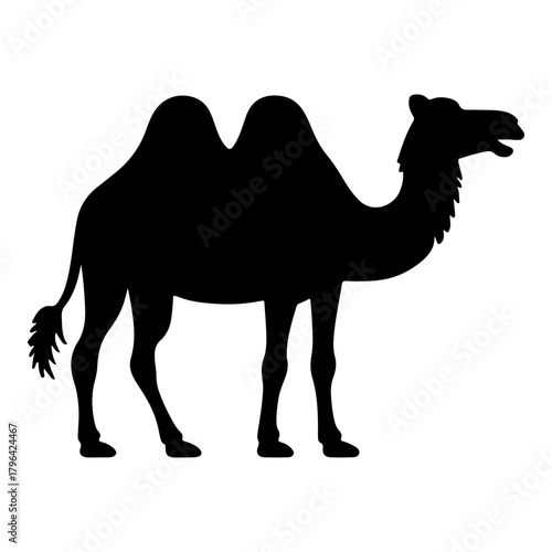 Desert Camel Animal
