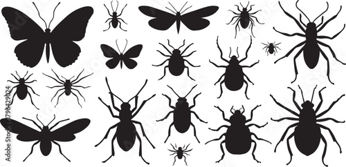 Checkmark and x symbols collection isolated on white