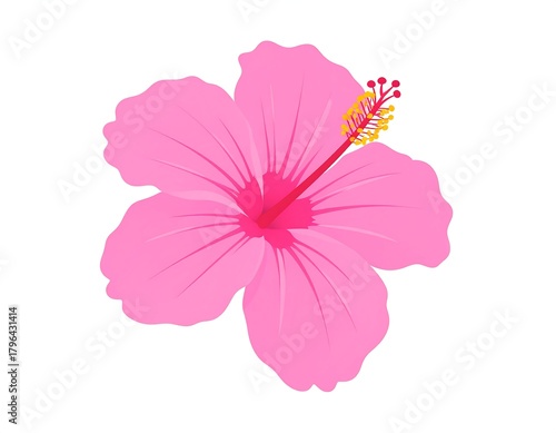 A vibrant illustration features a large, fully bloomed flower with five delicate pink petals, a prominent pistil, and a central stamen