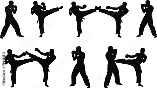 Martial arts silhouette, karate kick pose, taekwondo action, fighter stance, black figure, combat training, high kick, self defense, dynamic movement, sports illustration