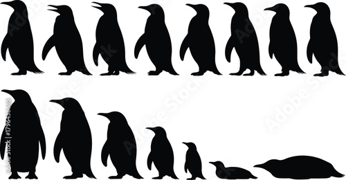Silhouetted Penguin Family Progression Standing, Walking, Smaller Sizes, Lying Down