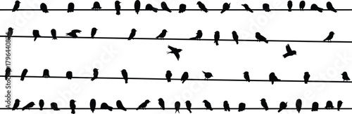 Bird silhouettes on wires, perched birds, flying birds, nature behavior, vector illustration, black shapes, avian pattern, isolated design asset, wildlife icon