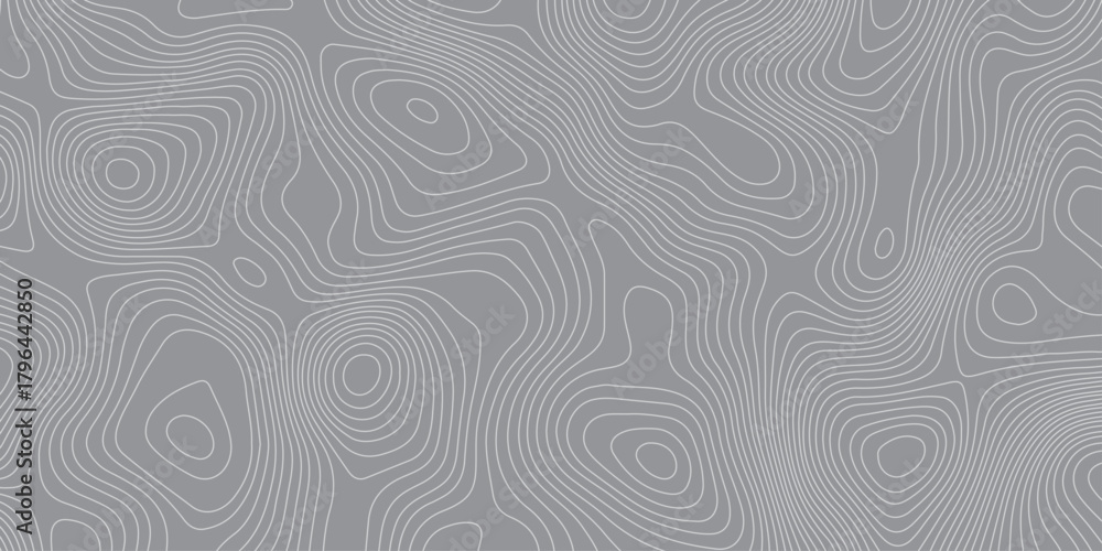 Fototapeta premium Subtle abstract topographic pattern with smooth contour lines on a gray background, creating a modern minimalistic texture ideal for mapping themes, backgrounds, branding,wallpapers,and graphic design