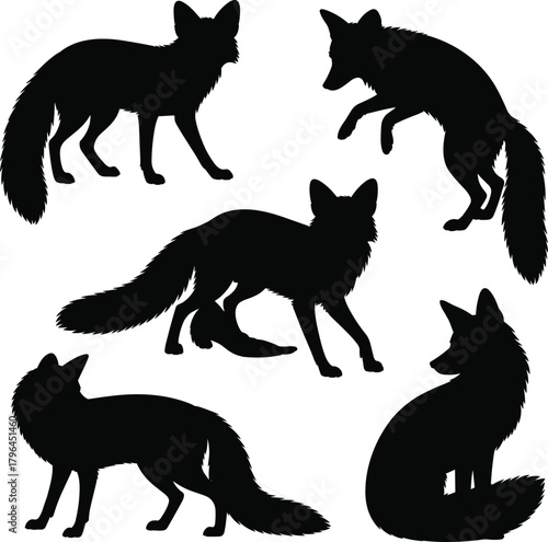 Papier peint Fox silhouette illustration, dynamic animal poses, black vector design, bushy ta