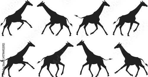 Giraffe silhouette set, walking and running poses, animal motion sequence, black vector illustration, wildlife icon, nature gait, white background