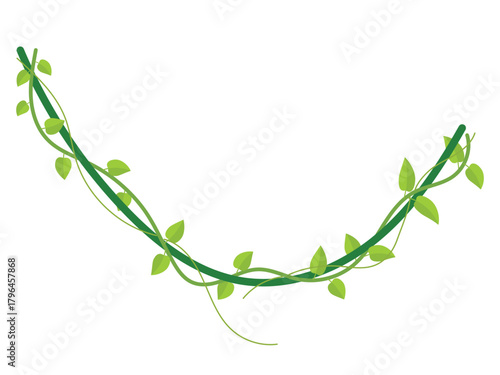 Twisted wild lianas branches, liana with leaves design element