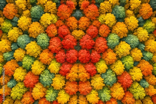 Aerial view of colorful autumn trees in a symmetrical pattern