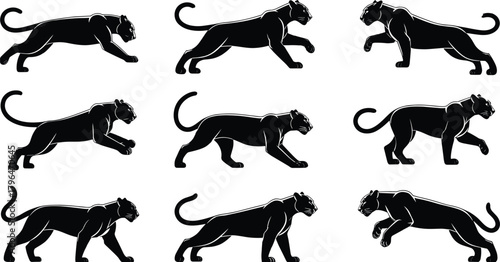 Panther silhouette set, walking and stalking motion sequence, black vector illustration, wildlife icon, animal movement study, white background