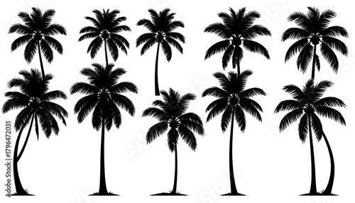 Fototapeta Naklejka Na Ścianę i Meble -  Silhouetted palm trees of varying shapes and heights are featured against a stark white background