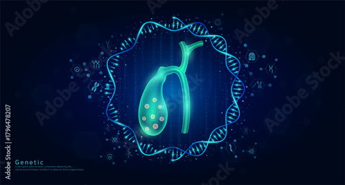 Genetic science medical. Gallbladder organ hologram transparent inside the DNA RNA surrounded by chromosome nucleus cell icons on dark blue background. Banner vector.