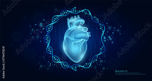Genetic science medical. Heart organ hologram transparent inside the DNA RNA surrounded by chromosome nucleus cell icons on dark blue background. Banner vector.