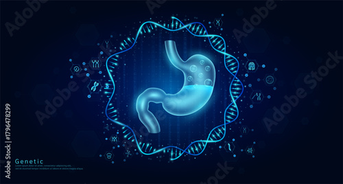 Genetic science medical. Stomach organ hologram transparent inside the DNA RNA surrounded by chromosome nucleus cell icons on dark blue background. Banner vector.