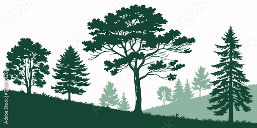 Silhouette of Trees on a Hillside Forest Scene
