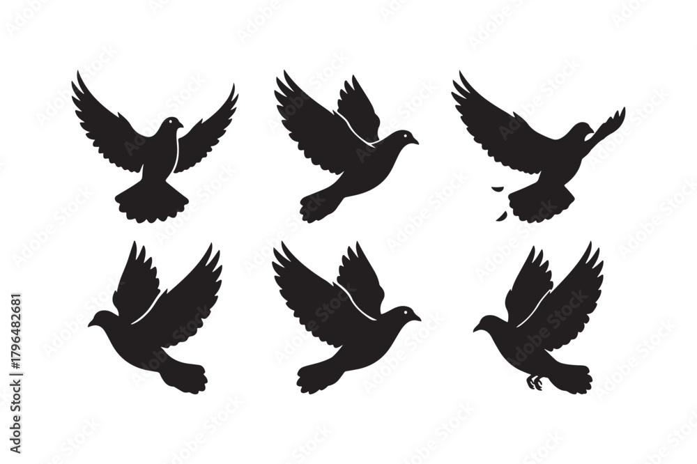 Obraz premium Flying Bird Silhouette Vector Set