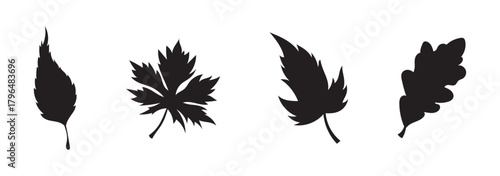 Black leaves vector set illustration, leaf silhouette drawing, nature foliage botanical art, design element