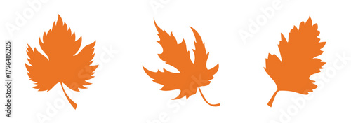 Set of eight black and white maple leaf silhouettes in various shapes and vein styles, representing seasonal foliage and botanical diversity in vector illustration.