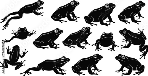Frog silhouette vector set, jumping frog clipart, amphibian poses collection, black frog icons, frog movement illustration, animal shape bundle