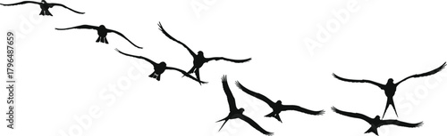 Birds in Flight Silhouette, Diagonal Flying Formation, Nature Motion Vector, Wildlife Sky Icons, Black Animal Shapes, Minimalist Design Art