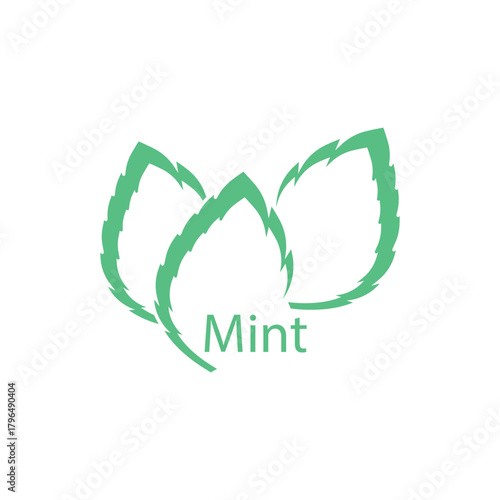 Simple mint logo leaf vector and symbol