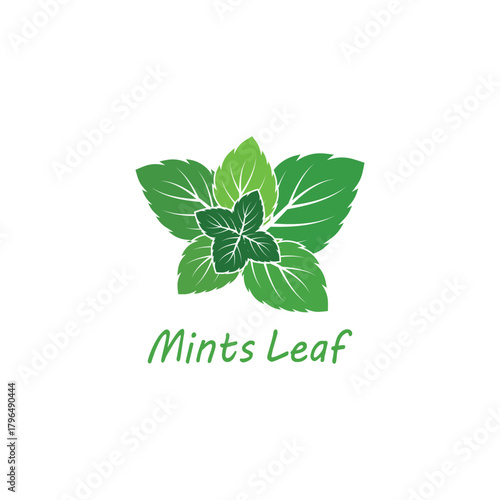 Simple mint logo leaf vector and symbol
