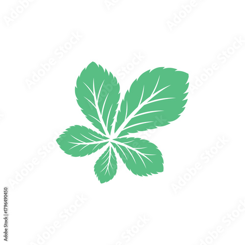 Simple mint logo leaf vector and symbol