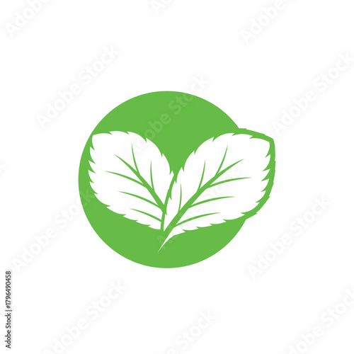 Simple mint logo leaf vector and symbol