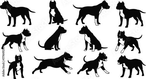 Dog silhouette vector set, black icons, various poses, sitting, walking, running, white chest patch, pet illustration, isolated on white background