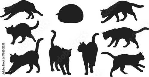 Cat silhouettes, feline poses, walking, stretching, sitting, crouching, lying down, black vector icons, animal motion, pet design, white background