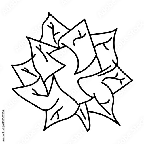 Hand drawn assortment of leafy. Vector illustration of cabbage vegetable icon
