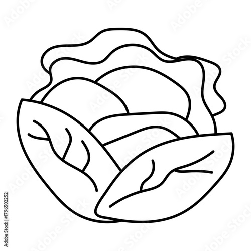 Hand drawn assortment of leafy. Vector illustration of cabbage vegetable icon
