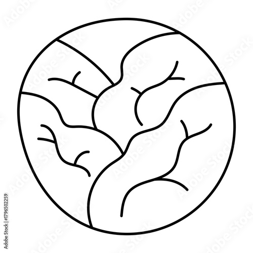 Hand drawn assortment of leafy. Vector illustration of cabbage vegetable icon
