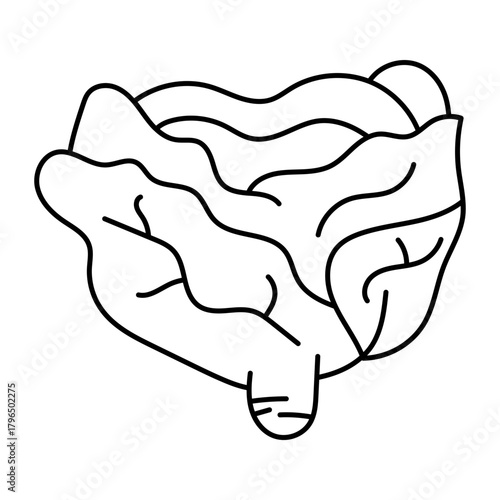 Hand drawn assortment of leafy. Vector illustration of cabbage vegetable icon
