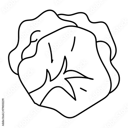 Hand drawn assortment of leafy. Vector illustration of cabbage vegetable icon
