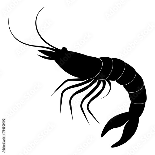 Vector illustration of a shrimp