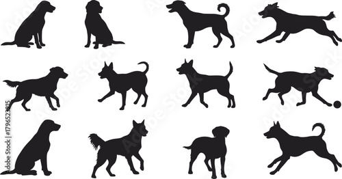 Dog silhouettes, sitting, standing, walking, running, playing, black vector icons, pet motion, canine poses, animal behavior, white background