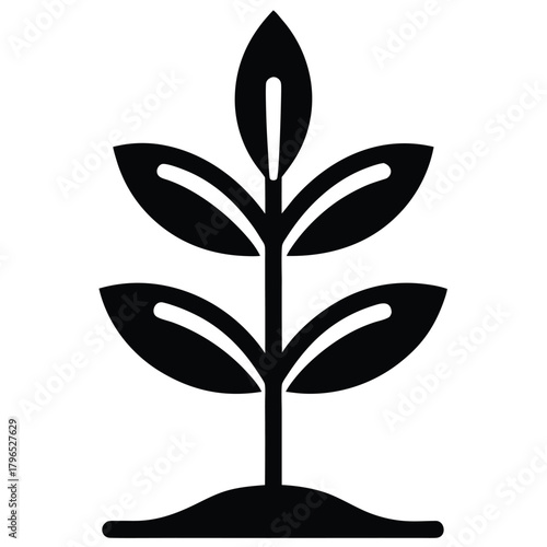 growing plant vector icon