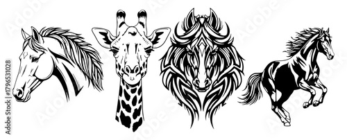 Animal illustration collection